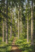 Sunlit forest path